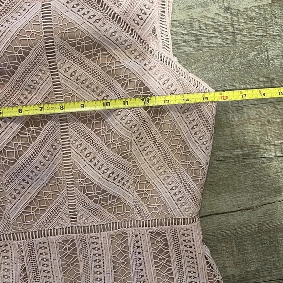 Anthropologie Greylin - Emilia Lace Mini Dress - Chalk Rose - Size Small - Picture 11 of 14